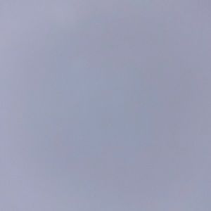 Meet your Posher, Kylee